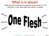 One Flesh (Jennings) Teaching Resources (slide 6/37)